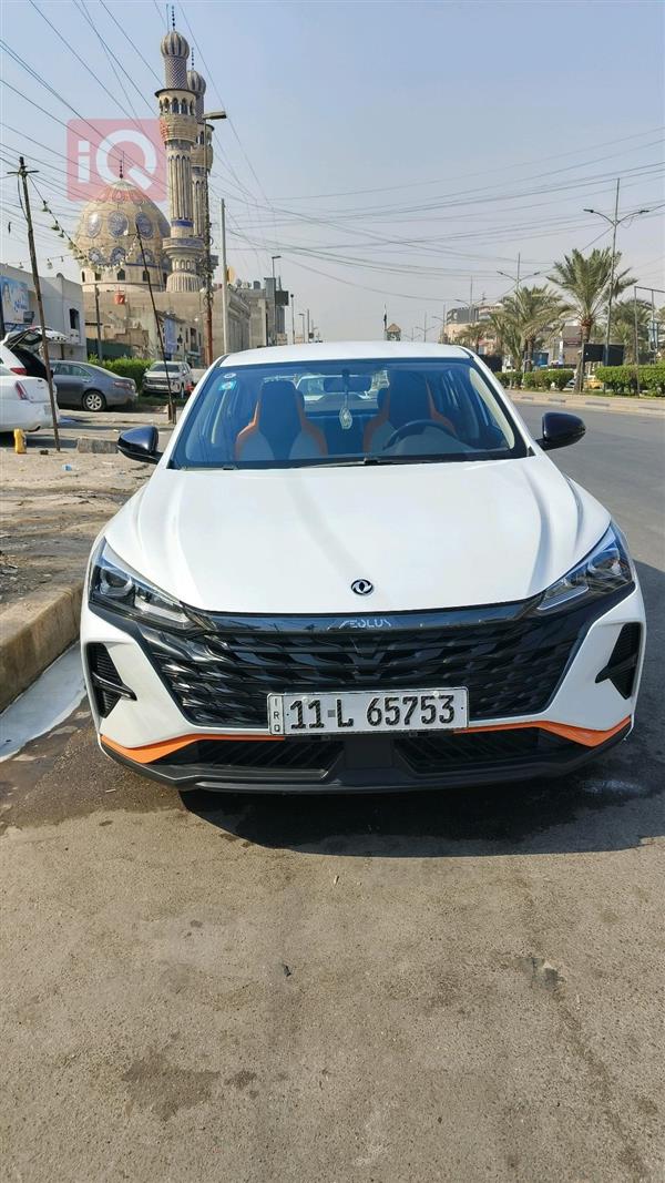 دونج فينج شاين 2024 للبيع في العراق -  بغداد